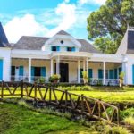 Domaine Saint Aubineaux - Ruta del té Mauricio